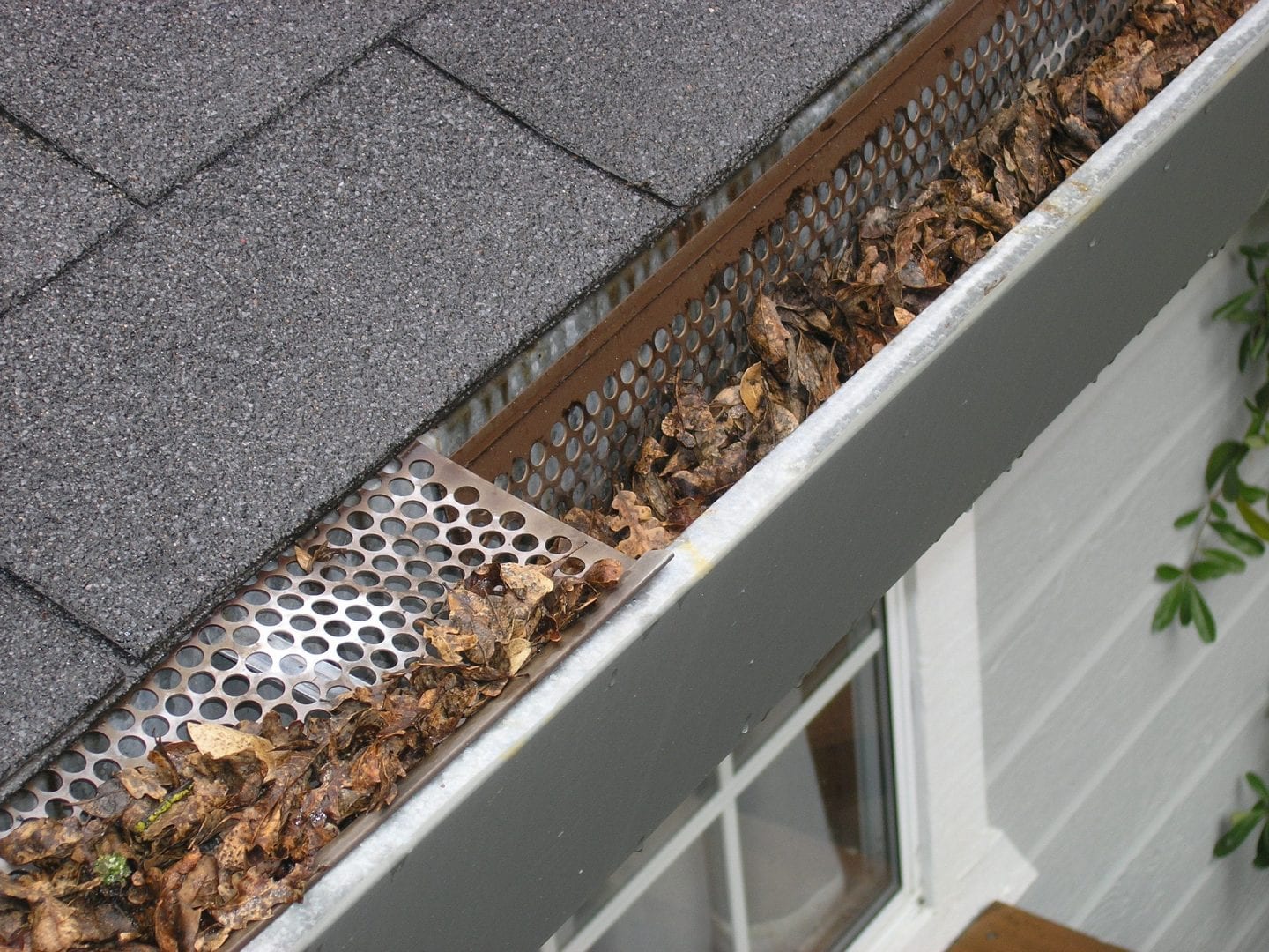 House Gutter filled with Leaved being Cleared Out